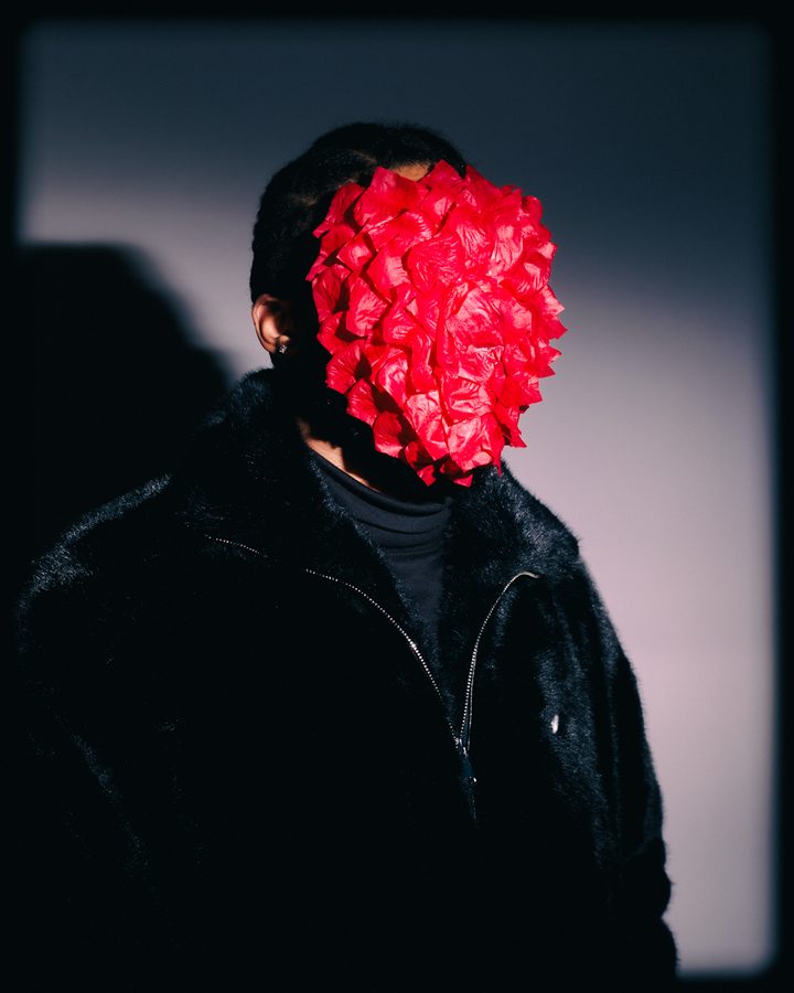 Rose Petal Face