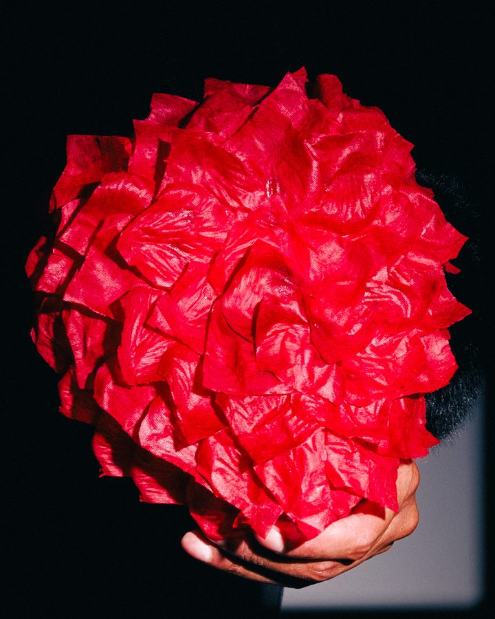 Rose Petal Face