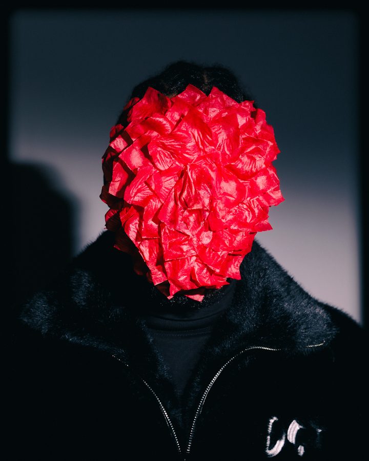 Rose Petal Face